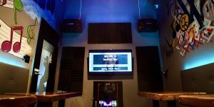 Harga 1 Set Sound System Karaoke Bervariasi Mulai dari 4 Jutaan Hingga Belasan Juta